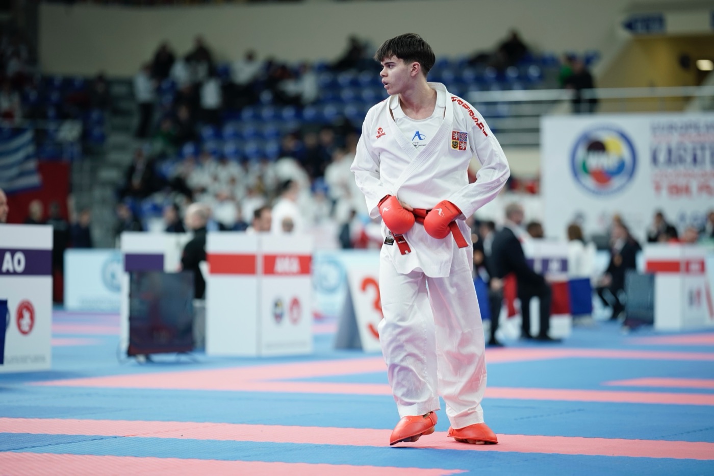 Daniel Kolář competing in karate